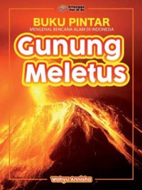 Image of Buku Pintar Mengenal Bencana Alam Di Indonesia Gunung Meletus